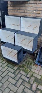 Grote tt kooien, Dieren en Toebehoren, Ophalen, Gebruikt, Hout, Overige typen