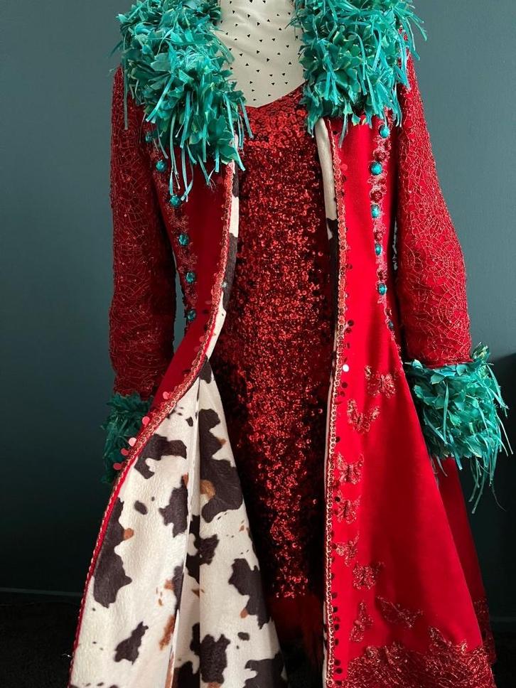 Unieke dames carnaval jas / outfit, Kleding | Dames, Carnavalskleding en Feestkleding, Zo goed als nieuw, Kleding, Carnaval, Maat 38/40 (M)