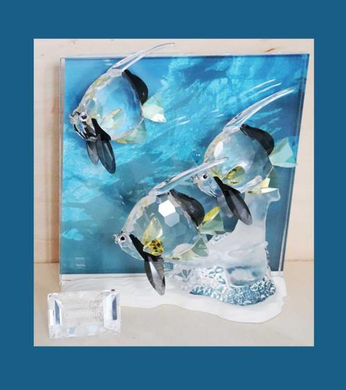 Swarovski Wonder of the Sea 2007 Community-gekleurd, Verzamelen, Swarovski, Zo goed als nieuw, Figuurtje, Ophalen of Verzenden