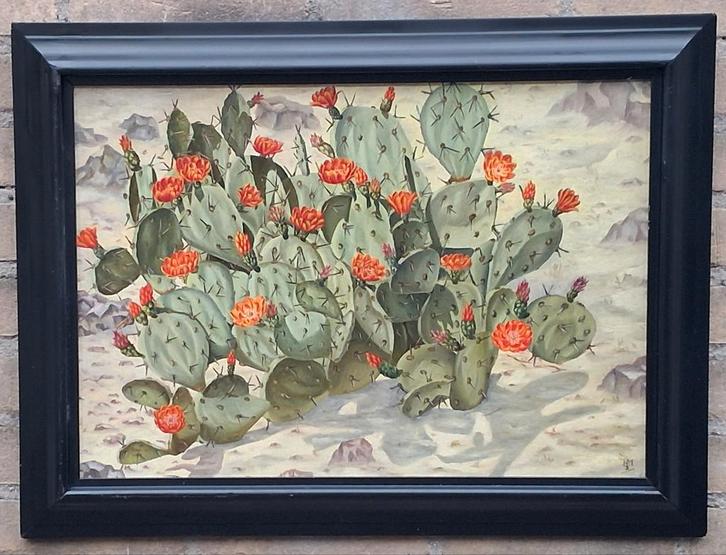 Cactussen in woenstijn. Sign. Olie/paneel. Ca '20/'40. 60/45, Antiek en Kunst, Kunst | Schilderijen | Klassiek, Ophalen