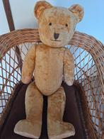 Teddybeer, Verzamelen, Ophalen of Verzenden, Zo goed als nieuw, Stoffen beer, Overige merken