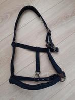 Nwe Profi-Rider halster zacht onderlegd, maat full, Dieren en Toebehoren, Paarden en Pony's | Hoofdstellen en Tuigage, Ophalen of Verzenden