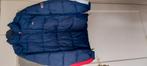 Tommy Hilfiger winterjas maat L, Ophalen of Verzenden, Gedragen, Blauw, Tommy Hilfiger