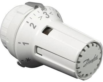 DANFOSS Thermostaatknop RAW 5010 013G5010 beschikbaar voor biedingen