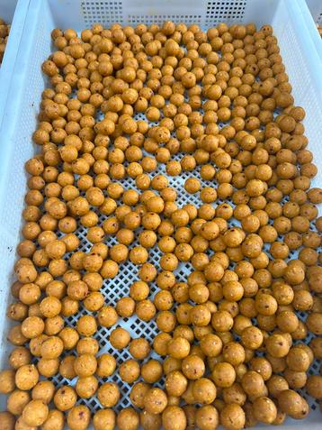 Goede kwaliteit boilies tegen lage prijzen beschikbaar voor biedingen