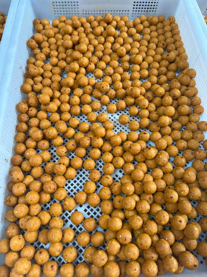 Goede kwaliteit boilies tegen lage prijzen, Watersport en Boten, Hengelsport | Karpervissen, Nieuw, Overige typen, Ophalen of Verzenden