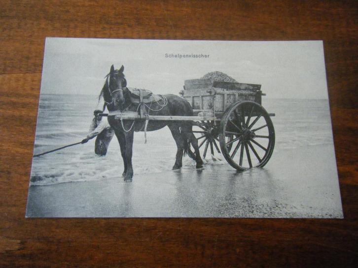 U27 - Nederland - Schelpenvisser - Mooi/Oud, Verzamelen, Ansichtkaarten | Nederland, Verzenden