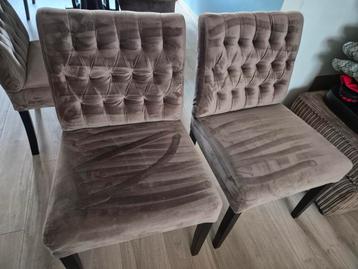 Rofra 6 eetkamerstoelen  beschikbaar voor biedingen