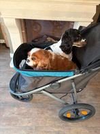 Te koop honden buggy xl tot 40 kilo, Dieren en Toebehoren, Ophalen, Zo goed als nieuw