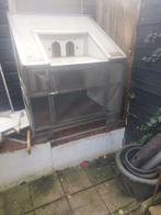 Spoetnik  duivenren, Dieren en Toebehoren, Vogels | Duiven, Meerdere dieren, Postduif