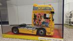 Italeri 1/24 DAF XF 105 professioneel gebouwd in vitrine, Hobby en Vrije tijd, Modelbouw | Auto's en Voertuigen, Italeri, Groter dan 1:32