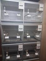 Van Keulen kooien, Dieren en Toebehoren, Vogels | Hokken en Kooien, Ophalen, Zo goed als nieuw, Aluminium, Broedkooi of Kweekkooi