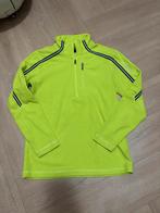 Skipully Falcon - Maat 140, Ophalen of Verzenden, Zo goed als nieuw, Shirt of Longsleeve, Falcon