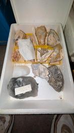 Mineralen en fossielen collectie te koop, Ophalen of Verzenden