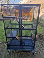 Knaagdier kooi / rattenkooi / gerbilkooi / chinchilla kooi, Ophalen, Kooi, Gebruikt, Eekhoorn