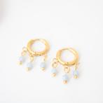 Oorbellen met angeliet, Overige materialen, Hangers, Blauw, Nieuw