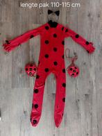 Lady bug verkleedset, Ophalen of Verzenden, Gebruikt, 110 t/m 116, Jongen of Meisje