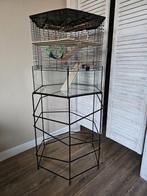 Robuuste knaagdierkooi en standaard Interzoo Vision Hexo XL, Kooi, Hamster, Minder dan 75 cm, Ophalen of Verzenden