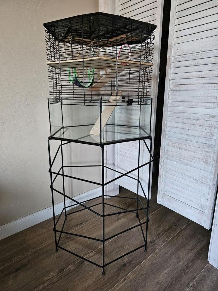 Robuuste knaagdierkooi en standaard Interzoo Vision Hexo XL, Dieren en Toebehoren, Knaagdieren en Konijnen | Hokken en Kooien