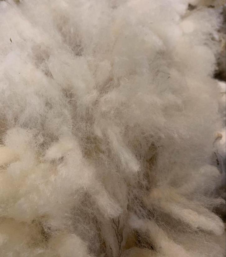 Schapenwol, Dieren en Toebehoren, Overige Dieren-accessoires, Ophalen of Verzenden