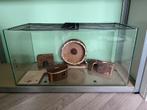 Hamster aquarium 80x40x40, Kooi, Minder dan 75 cm, Zo goed als nieuw, Hamster