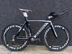Tijdritfiets - triathlonfiets BASSO in heel goede staat, Carbon, Zo goed als nieuw, Meer dan 20 versnellingen, 53 tot 57 cm