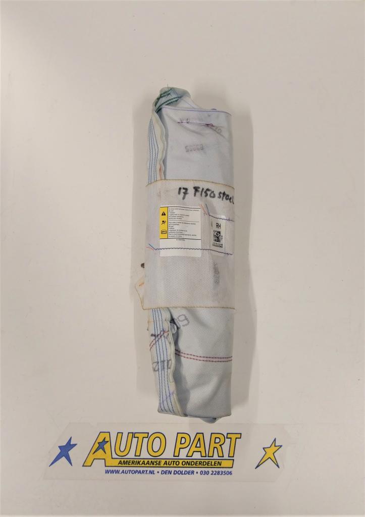 Ford F150 stoel airbag 2015-2020, Auto-onderdelen, Interieur en Bekleding, Amerikaanse onderdelen, Ford, Ford USA, Gebruikt, Ophalen of Verzenden