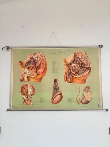 Vintage autonomie kaart beschikbaar voor biedingen