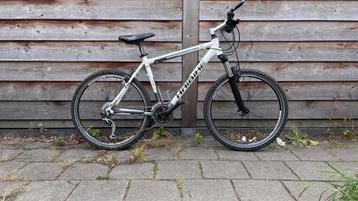 Mooie beginners MTB  beschikbaar voor biedingen