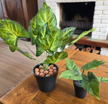 2  kunststof kamerplanten beschikbaar voor biedingen