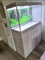 Aquarium met vele extra's, Dieren en Toebehoren, Vissen | Aquaria en Toebehoren, Ophalen, Gebruikt, Leeg aquarium