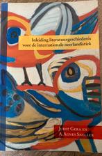 Inleiding literatuurgeschiedenis GERA & SNELLER, Boeken, Judit Gera; A. Agnes Sneller, Ophalen of Verzenden, Zo goed als nieuw