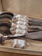 6-delige Verzilverde Nieuwpoort Set in Cassette, Antiek en Kunst, Ophalen of Verzenden