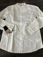 Ido nieuw met kaartjes jongen overhemd maat 170 wit, Ophalen of Verzenden, Nieuw, Jongen, Overhemd of Blouse