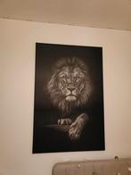 Canvas Leeuw, Ophalen, Zo goed als nieuw, Schilderij, Minder dan 50 cm