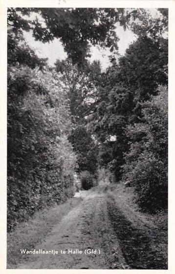 Ansichtkaart Halle Wandellantje beschikbaar voor biedingen