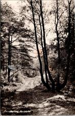 Terschelling - Bosidylle (1959), Verzenden, 1940 tot 1960, Gelopen, Waddeneilanden