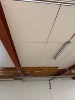 Trespa platen beschikbaar, Doe-het-zelf en Verbouw, Platen en Panelen, Ophalen of Verzenden, Gebruikt