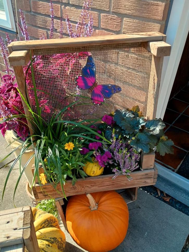 Hangbak van gaasbak, gevuld met planten!, Tuin en Terras, Bloembakken en Plantenbakken, Gebruikt, Hout, Balkon, Tuin, 30 tot 60 cm