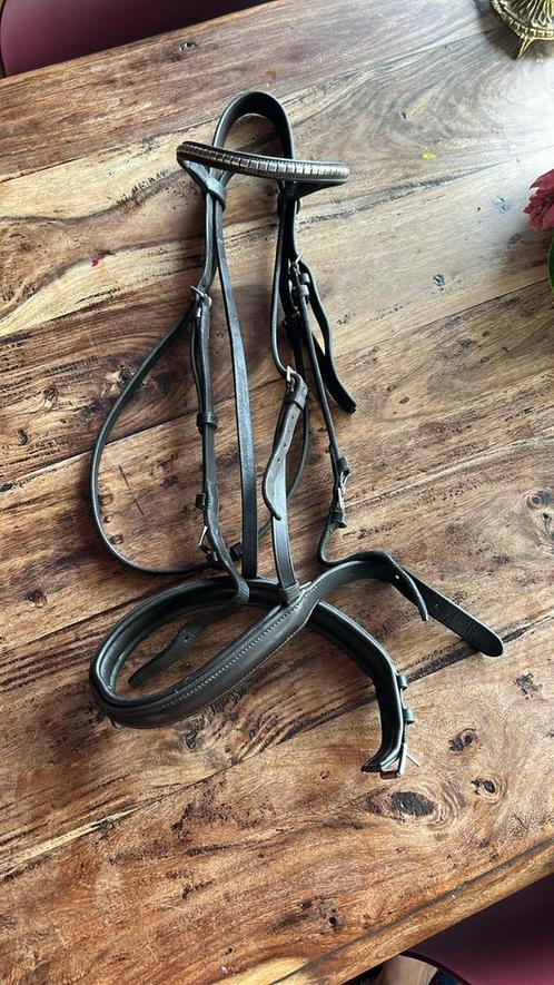 passier juno full bruin, Dieren en Toebehoren, Paarden en Pony's | Hoofdstellen en Tuigage, Zo goed als nieuw, Ophalen of Verzenden