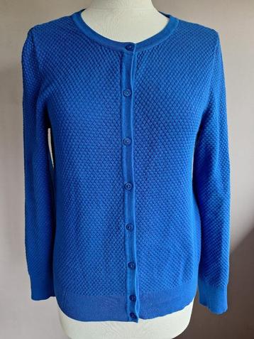 Mooi kobalt blauw stretch vest van WE, maat S/M beschikbaar voor biedingen