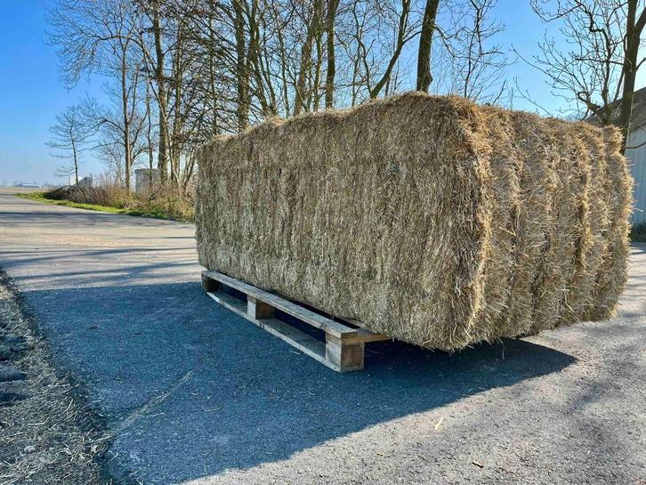 Spaans Gehamerd stro, Dieren en Toebehoren, Dierenvoeding, Vee, Ophalen