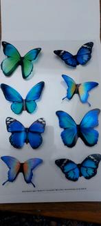 3D Stickers - Vlinders, Ophalen of Verzenden, Nieuw