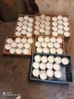 Porseleinen Bakjes Horeca Kwaliteit - Crème Brulee, Nootjes, Nieuw, Ophalen of Verzenden, Kom(men), Effen