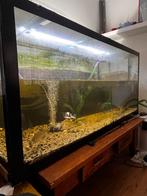 Aquarium 160 x 60 x 70, Dieren en Toebehoren, Vissen | Aquaria en Toebehoren, Ophalen, Leeg aquarium