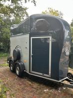 Goed onderhouden aluminium 1,5 paards trailer, Ophalen, Zo goed als nieuw, Aluminium, 1½-paards trailer