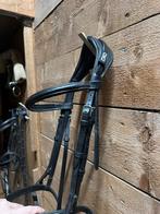 CWD hoofdstel, Dieren en Toebehoren, Paarden en Pony's | Hoofdstellen en Tuigage, Ophalen of Verzenden, Zo goed als nieuw, Springen