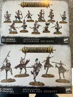 Age of Sigmar slaanesh, Hobby en Vrije tijd, Wargaming, Nieuw, Figuurtje(s), Warhammer, Ophalen of Verzenden