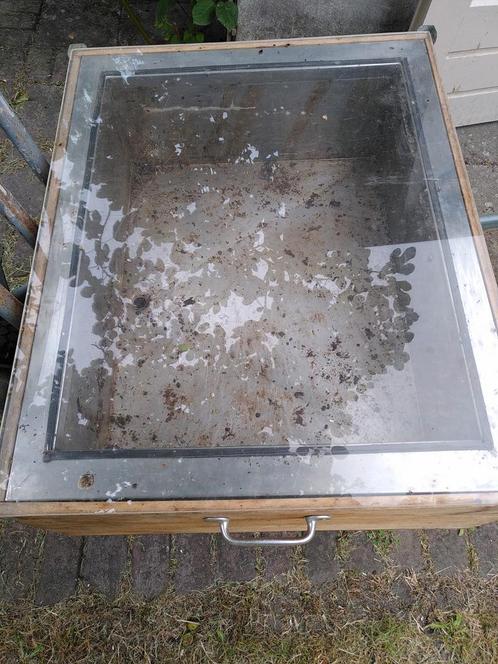 Bijen wassmelter, Dieren en Toebehoren, Insecten en Spinnen, Bijen