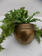 Bloempot koper cactuspot Rio Tiel vintage brocante, Gebruikt, Rond, Ophalen of Verzenden, Aardewerk